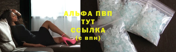 СК Абинск