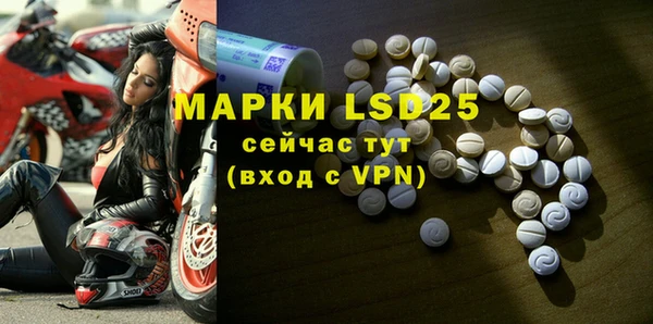 ГАЛЛЮЦИНОГЕННЫЕ ГРИБЫ Абаза