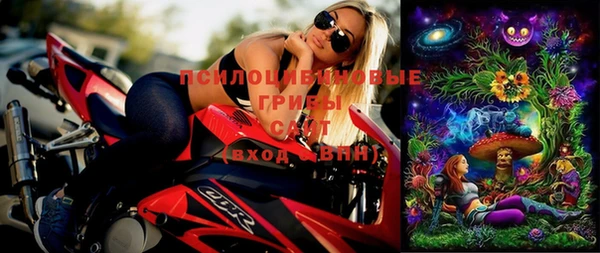 ГАЛЛЮЦИНОГЕННЫЕ ГРИБЫ Абаза