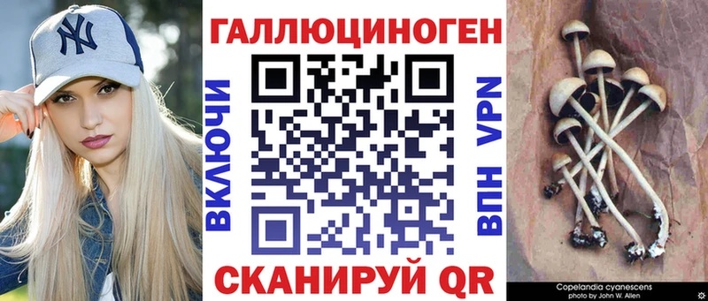 блэк спрут tor  купить  цена  Среднеколымск  Галлюциногенные грибы GOLDEN TEACHER 
